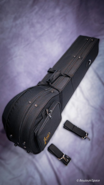 Rear view of bouzouki case with double shoulder straps